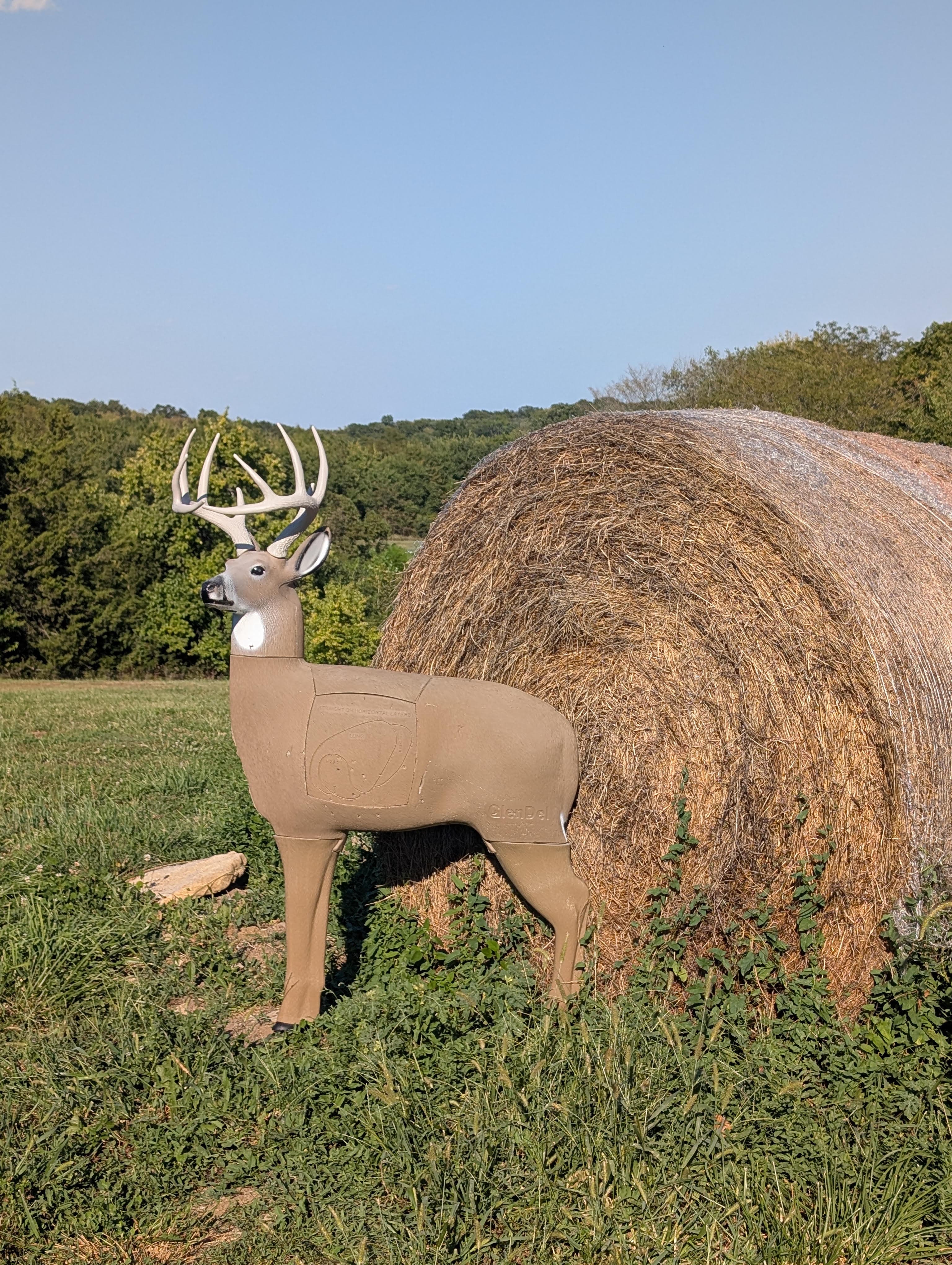 A 3D whitetail deer target on the bow line, backed by a large round hay bale