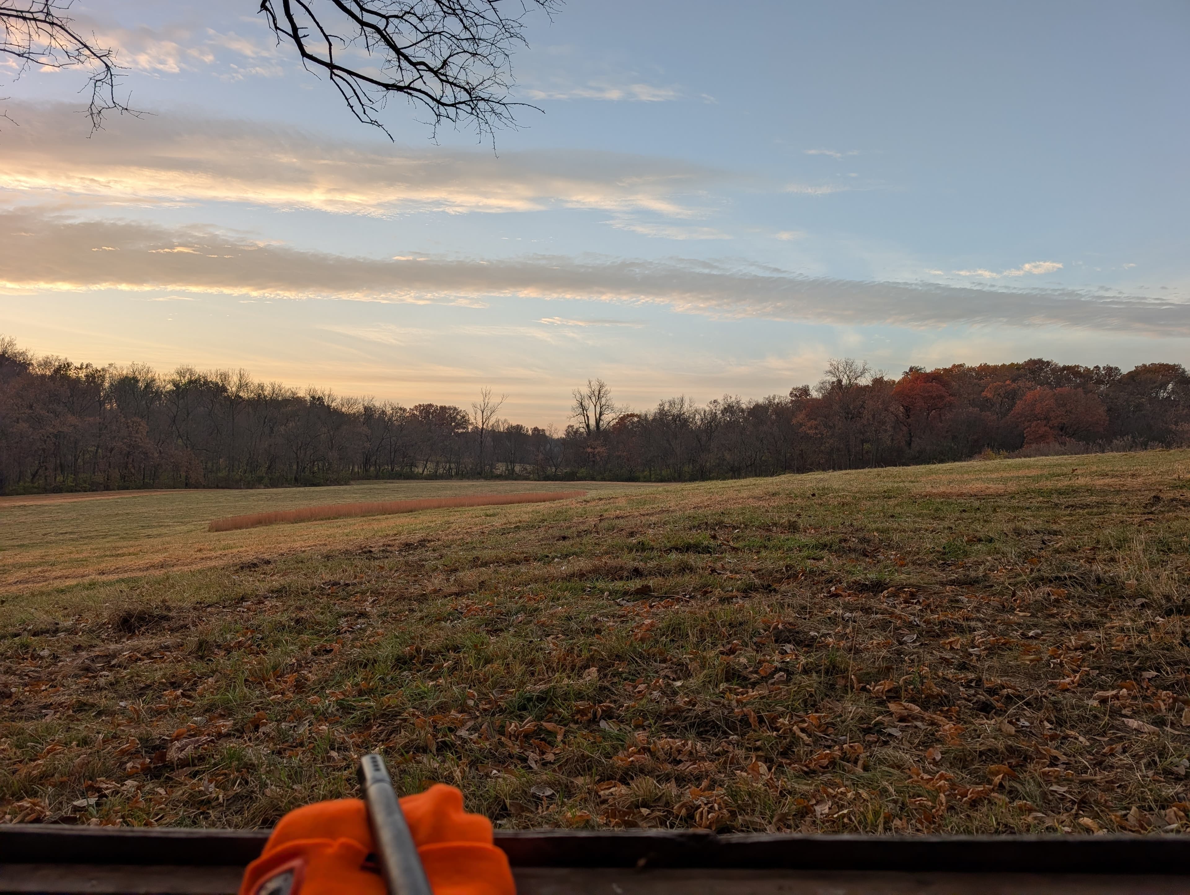 Sunrise over a field from inside a deer blind, fall colors in the treeline