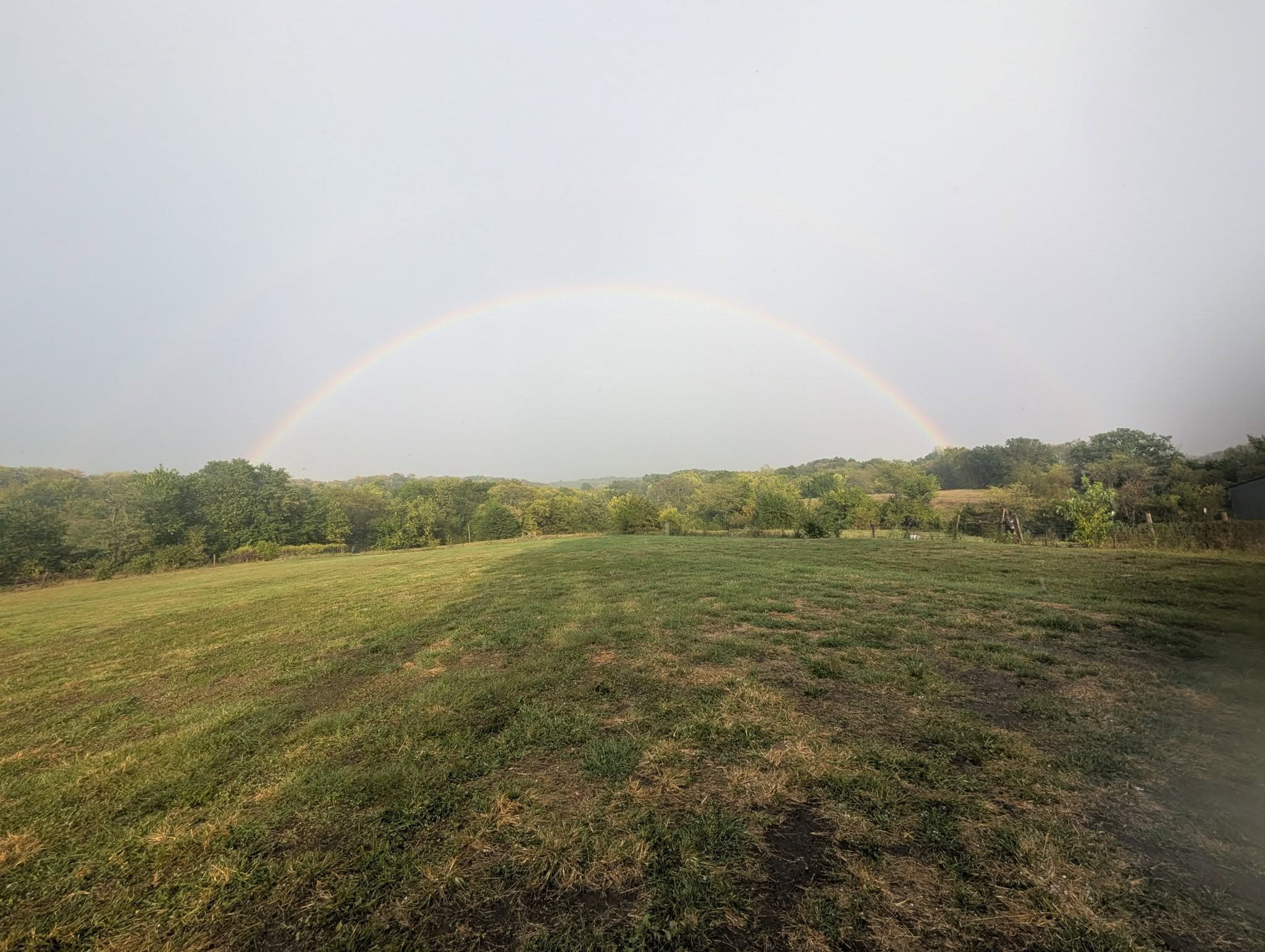 Rainbow over the fields and timber on the property